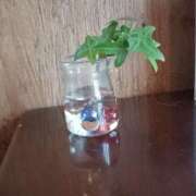 ヒメ日記 2025/05/22 16:18 投稿 優樹菜(ゆきな) 札幌人妻マドンナ