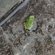 ヒメ日記 2025/07/28 20:15 投稿 優樹菜(ゆきな) 札幌人妻マドンナ