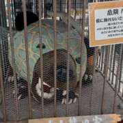 ヒメ日記 2025/08/07 18:57 投稿 優樹菜(ゆきな) 札幌人妻マドンナ