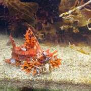 ヒメ日記 2025/10/07 18:24 投稿 優樹菜(ゆきな) 札幌人妻マドンナ