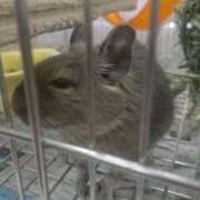 ヒメ日記 2026/03/09 13:18 投稿 優樹菜(ゆきな) 札幌人妻マドンナ