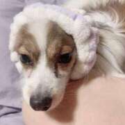 ヒメ日記 2025/01/07 16:54 投稿 尾白 熟女の風俗最終章 横浜本店