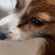 ヒメ日記 2025/03/08 23:57 投稿 尾白 熟女の風俗最終章 横浜本店