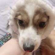 ヒメ日記 2025/06/02 08:24 投稿 尾白 熟女の風俗最終章 横浜本店