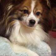 ヒメ日記 2025/06/14 00:14 投稿 尾白 熟女の風俗最終章 横浜本店