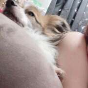 ヒメ日記 2025/06/14 13:40 投稿 尾白 熟女の風俗最終章 横浜本店