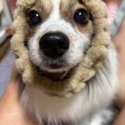 ヒメ日記 2025/07/19 16:34 投稿 尾白 熟女の風俗最終章 横浜本店