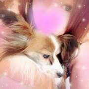 尾白 2025年💖 熟女の風俗最終章 横浜本店