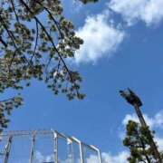 ヒメ日記 2025/04/05 11:53 投稿 成瀬【なるせ】 丸妻 西船橋店