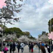 ヒメ日記 2025/04/08 13:35 投稿 成瀬【なるせ】 丸妻 西船橋店