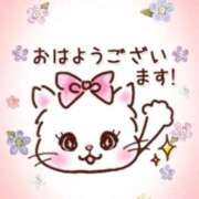 ヒメ日記 2025/04/13 09:29 投稿 成瀬【なるせ】 丸妻 西船橋店