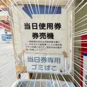 ヒメ日記 2025/08/17 09:50 投稿 成瀬【なるせ】 丸妻 西船橋店