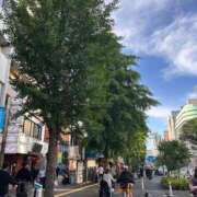 成瀬【なるせ】 今日は 丸妻 西船橋店