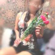 ヒメ日記 2025/10/21 16:27 投稿 NHすめらぎ しの 信州無限GP 総合受付 諏訪店