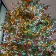 ヒメ日記 2024/12/16 18:28 投稿 桜川晶 五十路マダム富山店(カサブランカグループ)