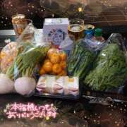 ヒメ日記 2024/12/10 23:46 投稿 ちい 素人妻達☆マイふぇらレディー