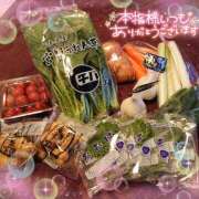 ヒメ日記 2024/12/16 00:03 投稿 ちい 素人妻達☆マイふぇらレディー