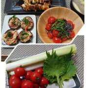 ヒメ日記 2024/12/19 19:45 投稿 ちい 素人妻達☆マイふぇらレディー