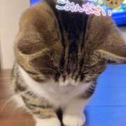 ヒメ日記 2024/12/24 14:24 投稿 ちい 素人妻達☆マイふぇらレディー