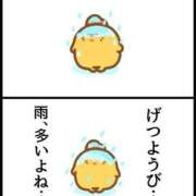 ヒメ日記 2025/03/03 10:11 投稿 ちい 素人妻達☆マイふぇらレディー