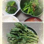 ヒメ日記 2025/03/14 19:52 投稿 ちい 素人妻達☆マイふぇらレディー