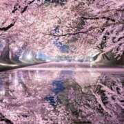 ヒメ日記 2025/03/17 14:45 投稿 ちい 素人妻達☆マイふぇらレディー