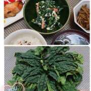 ヒメ日記 2025/03/24 20:21 投稿 ちい 素人妻達☆マイふぇらレディー