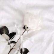 ヒメ日記 2025/04/05 15:45 投稿 ちい 素人妻達☆マイふぇらレディー