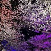 ヒメ日記 2025/04/07 11:32 投稿 ちい 素人妻達☆マイふぇらレディー