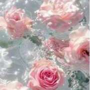 ヒメ日記 2025/04/12 14:16 投稿 ちい 素人妻達☆マイふぇらレディー