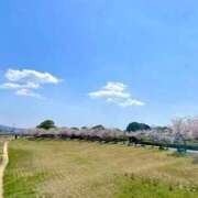 ヒメ日記 2025/04/13 13:00 投稿 ちい 素人妻達☆マイふぇらレディー