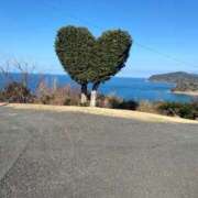 ヒメ日記 2025/04/14 07:45 投稿 ちい 素人妻達☆マイふぇらレディー