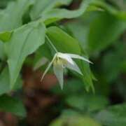 ヒメ日記 2025/04/24 10:24 投稿 ちい 素人妻達☆マイふぇらレディー