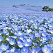 ヒメ日記 2025/04/25 10:30 投稿 ちい 素人妻達☆マイふぇらレディー