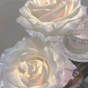 ヒメ日記 2025/05/01 00:41 投稿 ちい 素人妻達☆マイふぇらレディー