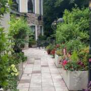 ヒメ日記 2025/05/19 17:01 投稿 ちい 素人妻達☆マイふぇらレディー