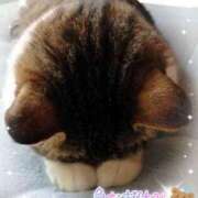 ヒメ日記 2025/06/01 15:50 投稿 ちい 素人妻達☆マイふぇらレディー