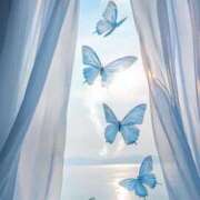 ヒメ日記 2025/06/16 08:01 投稿 ちい 素人妻達☆マイふぇらレディー