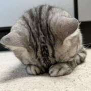 ヒメ日記 2025/06/22 14:15 投稿 ちい 素人妻達☆マイふぇらレディー