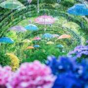 ヒメ日記 2025/06/25 08:00 投稿 ちい 素人妻達☆マイふぇらレディー