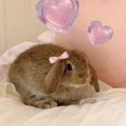 ヒメ日記 2025/07/21 13:00 投稿 ちい 素人妻達☆マイふぇらレディー