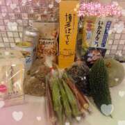 ヒメ日記 2025/07/30 00:30 投稿 ちい 素人妻達☆マイふぇらレディー