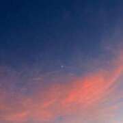 ヒメ日記 2025/08/04 23:46 投稿 ちい 素人妻達☆マイふぇらレディー