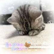 ヒメ日記 2025/08/16 13:30 投稿 ちい 素人妻達☆マイふぇらレディー