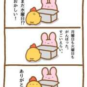 ヒメ日記 2025/08/20 10:00 投稿 ちい 素人妻達☆マイふぇらレディー