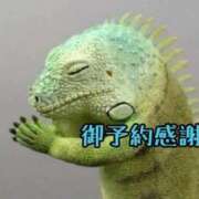 ヒメ日記 2025/08/23 19:30 投稿 ちい 素人妻達☆マイふぇらレディー