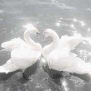 ヒメ日記 2025/09/01 11:54 投稿 ちい 素人妻達☆マイふぇらレディー