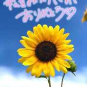 ヒメ日記 2025/09/03 23:20 投稿 ちい 素人妻達☆マイふぇらレディー
