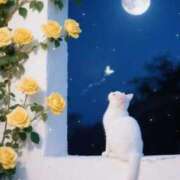 ヒメ日記 2025/09/08 21:15 投稿 ちい 素人妻達☆マイふぇらレディー