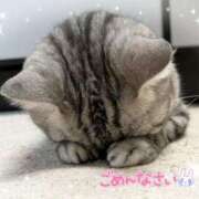 ヒメ日記 2025/09/22 21:01 投稿 ちい 素人妻達☆マイふぇらレディー